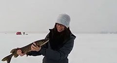 Ice Fishing - Brittany Pike,otter, humminbird, strikemaster