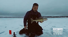 Walleye Caught on IFish Tip Up - Michigan Ice Fishing,otter, humminbird, strikemaster