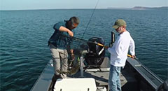 Lindner's Fishing Edge - Jiggin' Up Coho - Sport Fish Michigan,lindner, angling edge, fishing edge, salmon, coho, fishing, michigan, ben wolfe, fishing guide