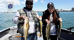 Learn More About Sport Fish Michigan,michigan, fishing, guide, charter, salmon, bass, ice fishing, traverse city, grand traverse bays, river fishing, fly fishing, coho salmon, vertical jigging, Lindner, Lindner\\\'s Angling Edge