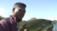 Northern Michigan Smallmouth Bass,