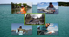 Michigan Spring Fishing with Sport Fish Michigan,stealthcraft, yeti, costa del mar, humminbird, minn kota, under armour, shimano, g. loomis, trout unlimited,