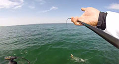 Smallmouth Bass Fishing on Grand Traverse Bays - Rod POV,
