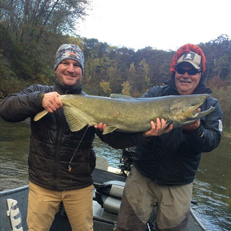 Huge Salmon Michigan