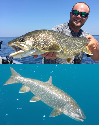 Michigan Lake Trout Fishing Charter