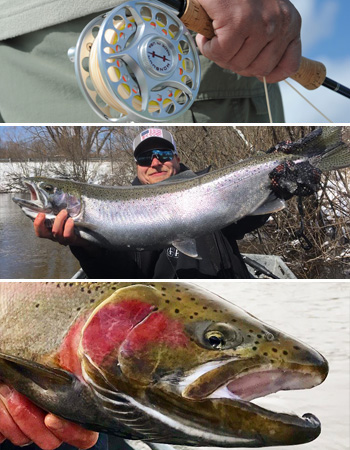fly fishing Michigan