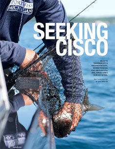 Seeking Cisco